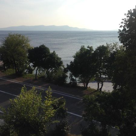 Apartment Marina Senj Senj  Eksteriør bilde